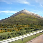 DSCN8019