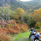 DSCN6132