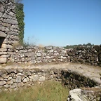 DSCN7853