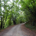 DSCN9549