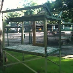 Zoo Barcelona - Zoo Lunaret + Sigean 18 i 19-09-10 089