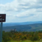 DSCN0773