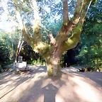 DSCN9721