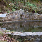 DSCN6913