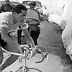 1953,giro,estelvio,coppi