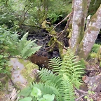 DSCN7495