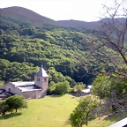 DSCN6407