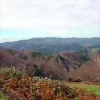 DSCN7868