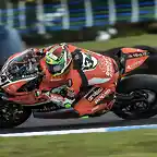 0243_P01_Giugliano_action