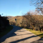 DSCN9094