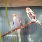 IMG_20170508_122405