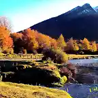 Lenga en el Parque Tierra del Fuego