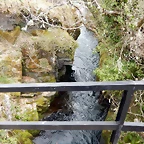 DSCN4036