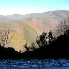 DSCN6775