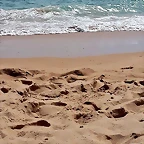 Mar?a twitter 2-8-2015