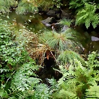 DSCN8455