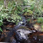DSCN8463