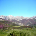 DSCN8539