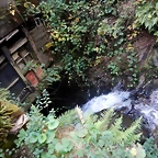 DSCN0119