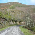 DSCN7744