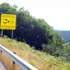 DSCN6587