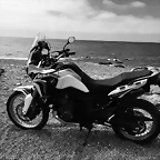IMG_1267