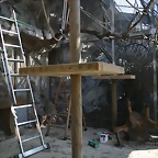 Zoo de Barcelona 09-02-11 003