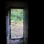 49-IMG_2748