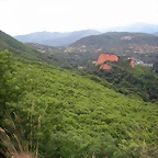 DSCN6261