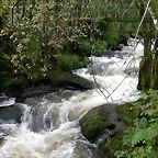 DSCN5751