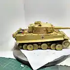 Tiger73