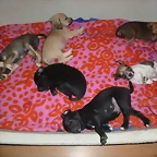 BEBES_DE_SALINA_EN_ACOGIDA