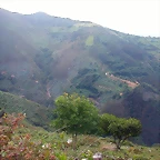DSCN2436