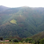 DSCN2441