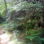 DSCN2489