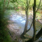DSCN2503