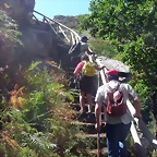 DSCN2529