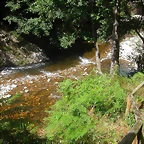 DSCN2542
