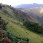DSCN2578