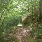 DSCN2486