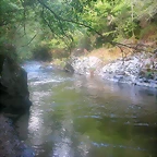 DSCN2501