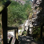 DSCN2540