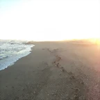 DSC07115