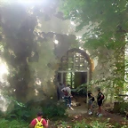 DSCN2490