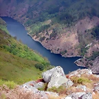 DSCN2902