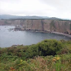 DSCN2475