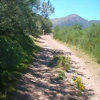 DSCN2643