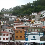DSCN2822