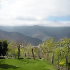 DSCN3921