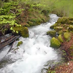DSCN4423